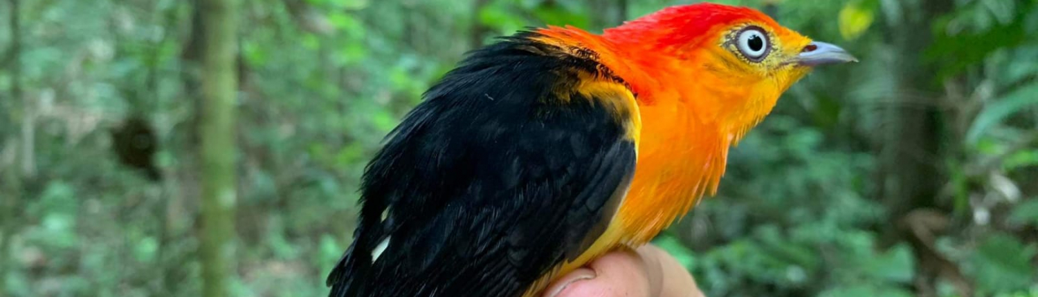 Peru 6